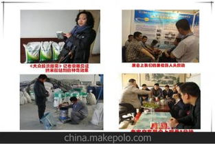 環保技術轉讓供應商與批發市場 綠色技術商業化的新機遇